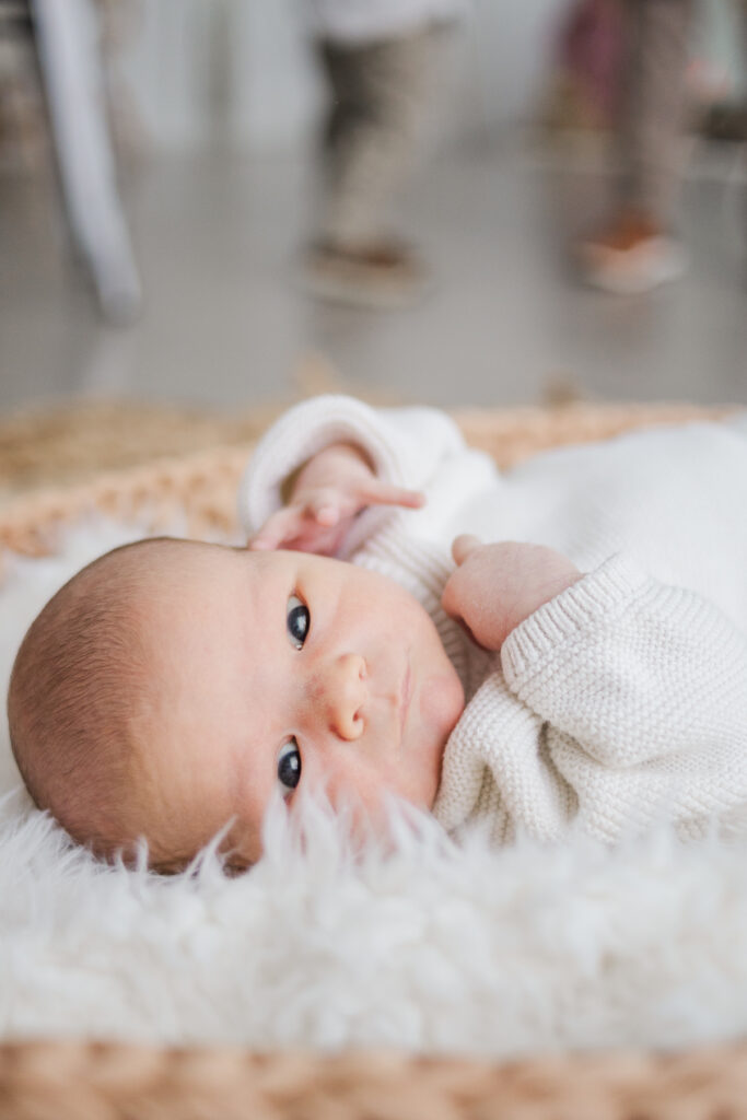 newborn at Lemon Drop Studios in McKinney TX